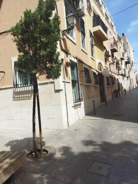 La Casita Del Marques Lägenhet Alicante Exteriör bild